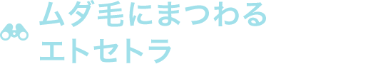 ムダ毛にまつわるエトセトラ