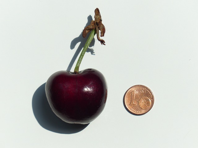 cherry-167801_640