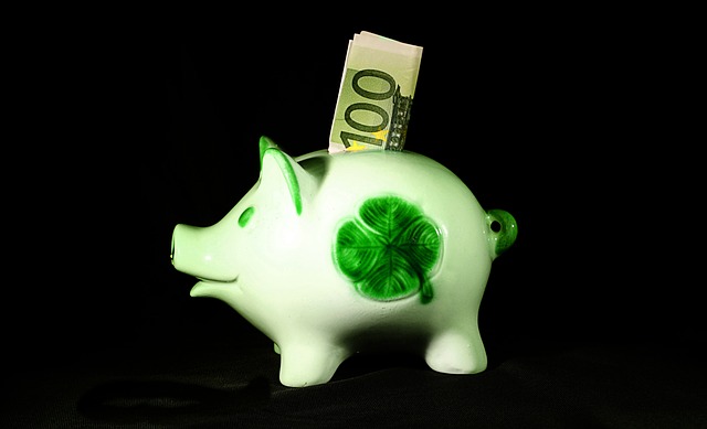 money-1502843_640